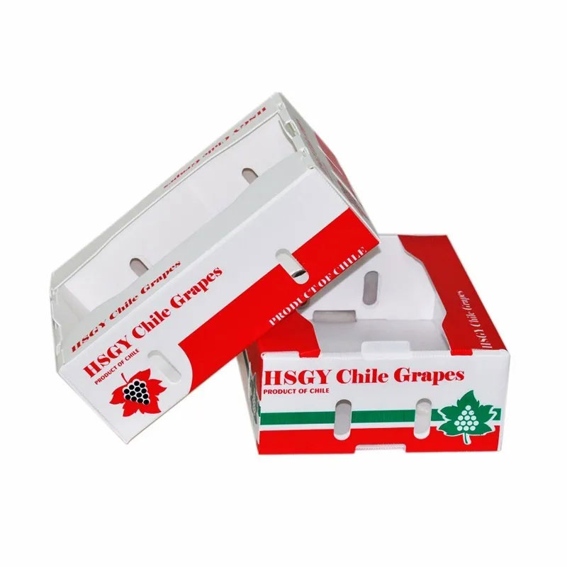 普通紙箱容易破損？泡沫箱太占空間？怎么解決果蔬海鮮物流運(yùn)輸問題